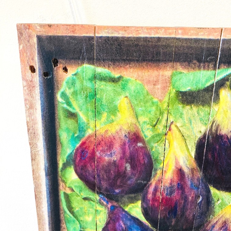 'Figs 18/30' by artist Diana Tonnison